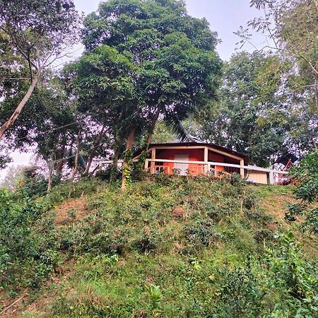 Jungle Cottage Sreemangal Chambre photo