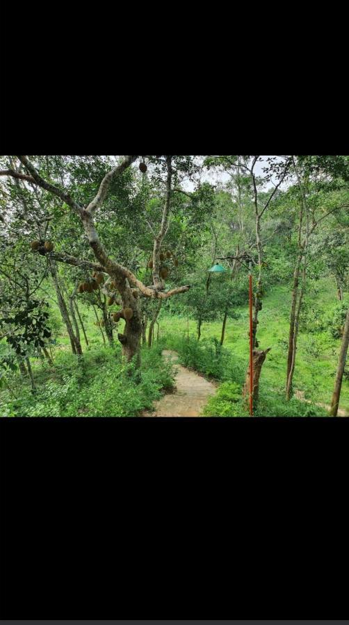 Jungle Cottage Sreemangal Extérieur photo