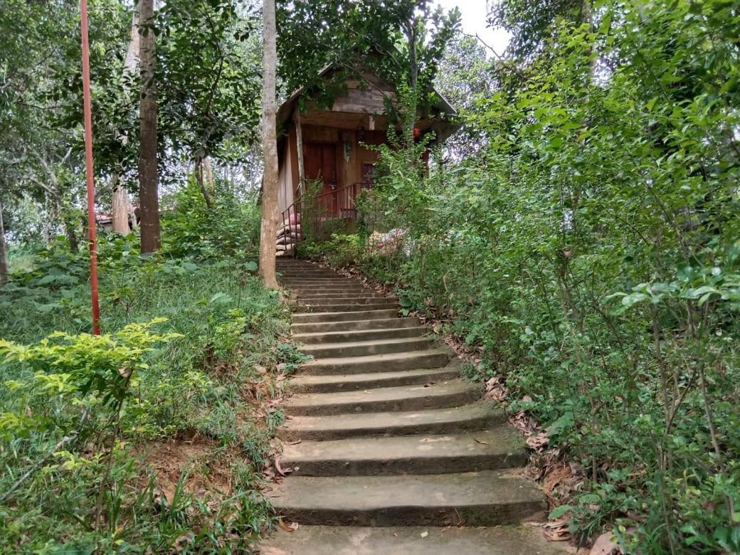 Jungle Cottage Sreemangal Extérieur photo
