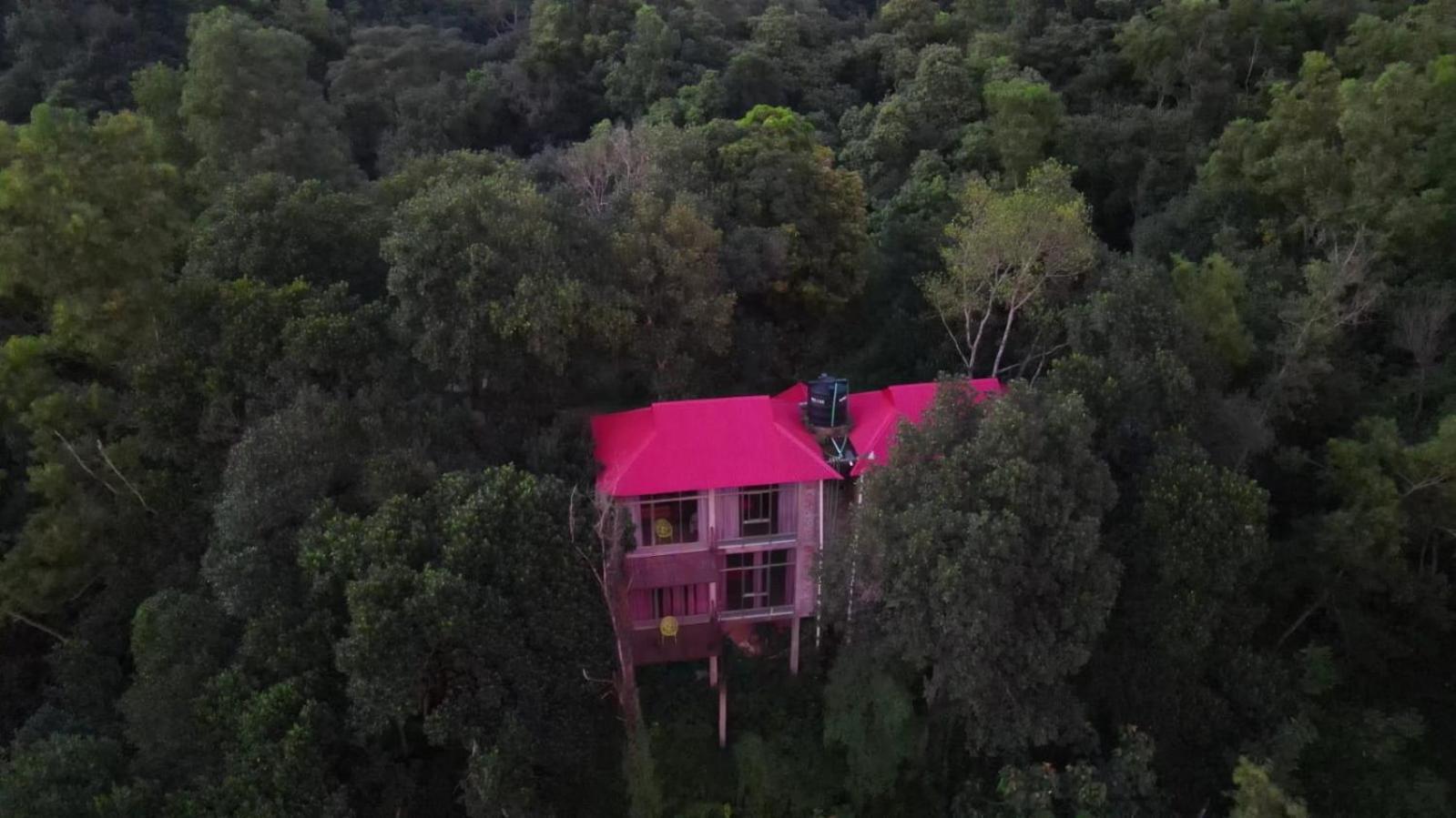 Jungle Cottage Sreemangal Chambre photo