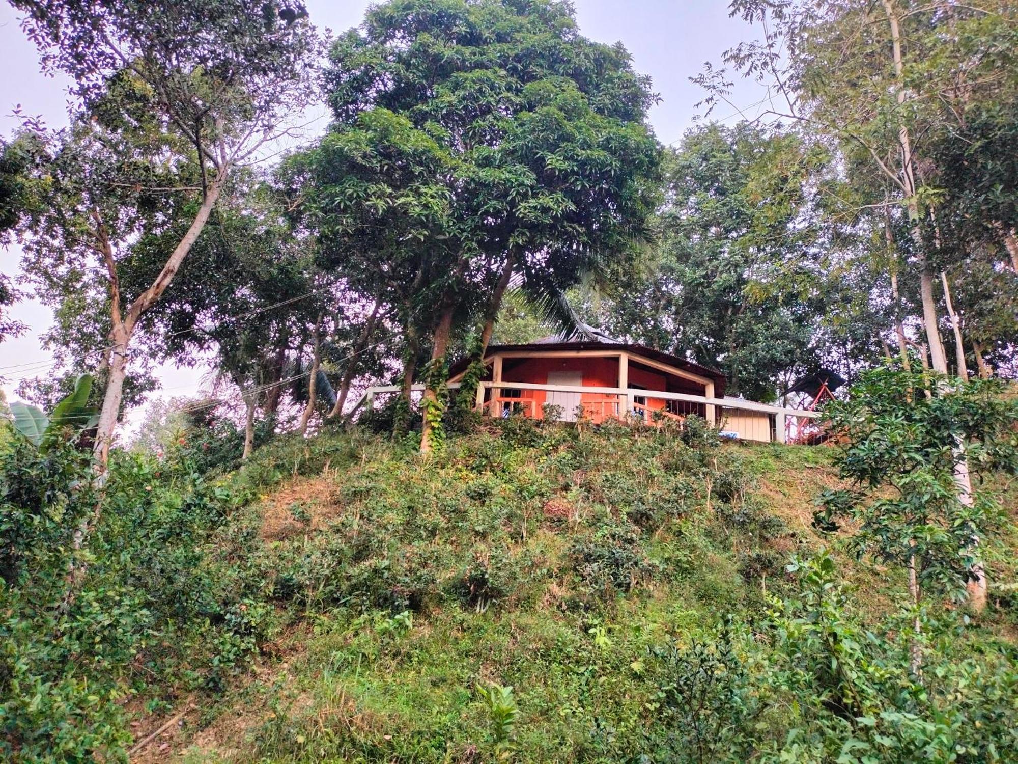 Jungle Cottage Sreemangal Chambre photo